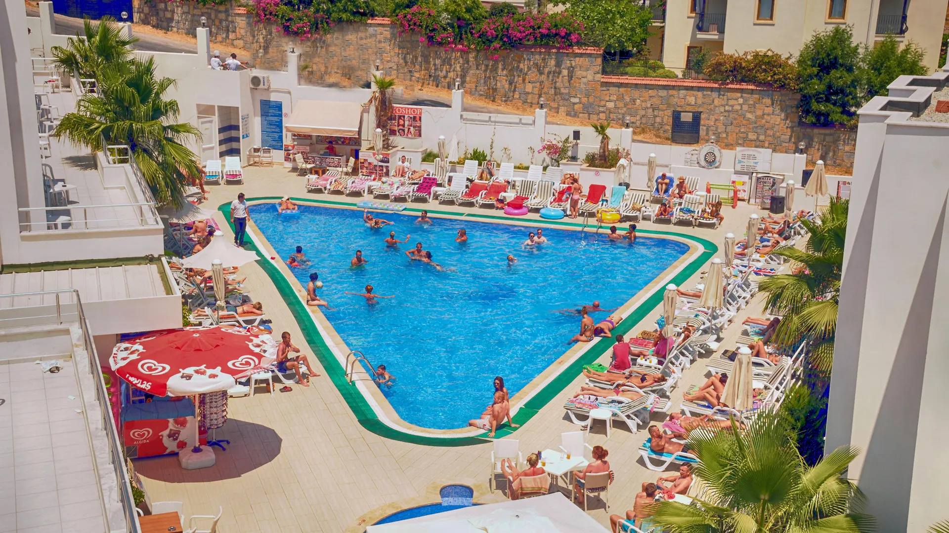 Club Shark Hotel Gümbet Turcia