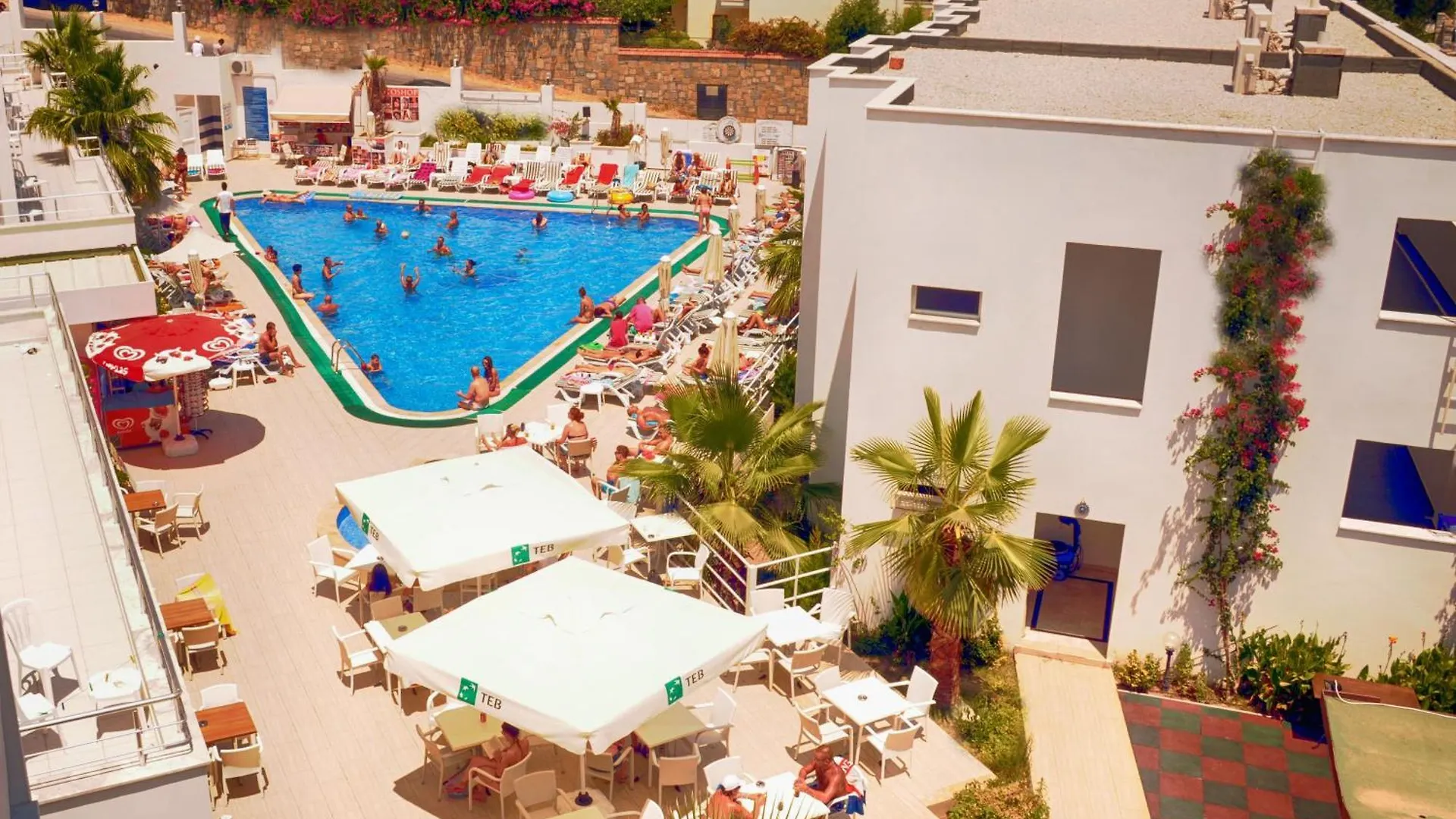 Club Shark Hotel Gümbet